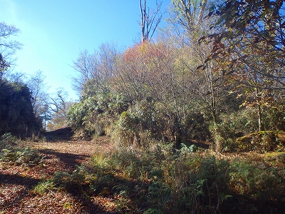 f0193521_946364.jpg