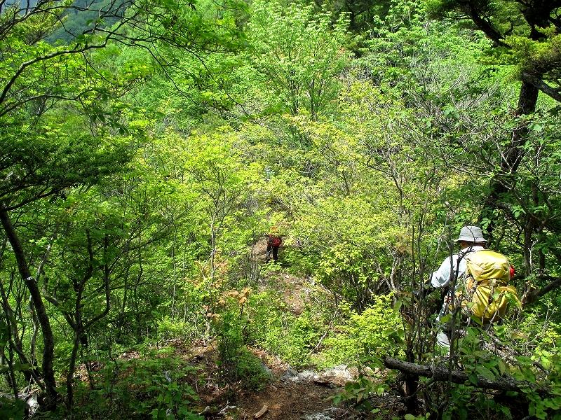 上野村　マムシ岳で藪岩ハイキング　　　　　Mamushidake in Ueno,Gunma_f0308721_2132417.jpg