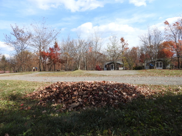 b0174425_14060465.jpg