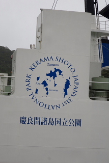 心に沖縄を持つわ・た・し。_d0046025_23123252.jpg
