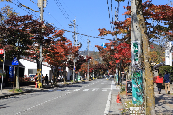 １５年紅葉旅（旧軽銀座～横川）最終回_f0229832_1204121.jpg