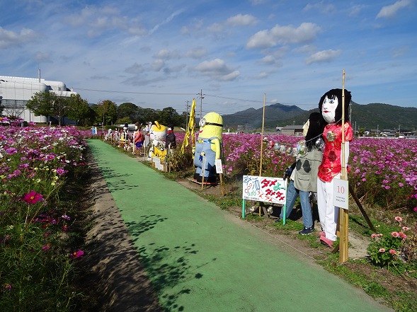 亀岡・夢コスモス園の案山子コンテスト_b0299042_10434132.jpg