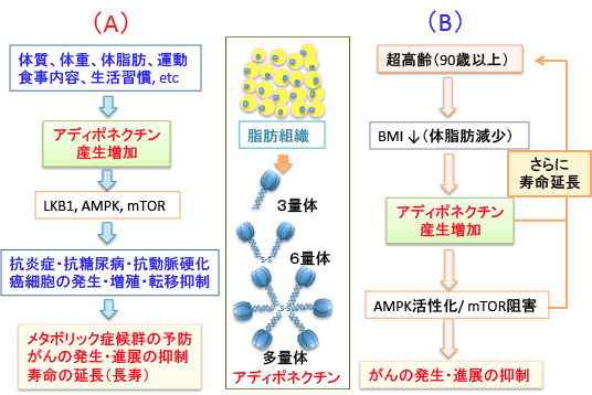 e0028056_5332655.png