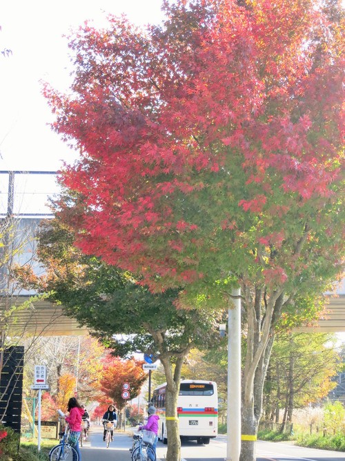 f0236260_1812476.jpg