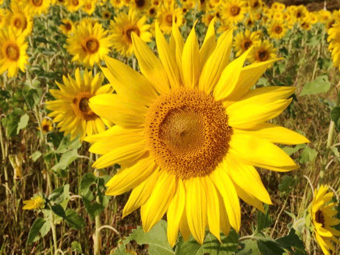 f0203164_10311187.gif