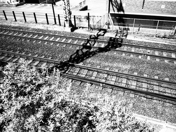 d0235865_833164.jpg