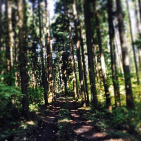 d0346169_02235097.jpeg