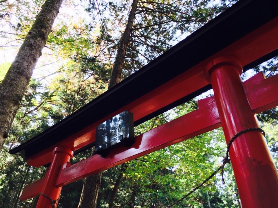 d0346169_08280606.jpeg