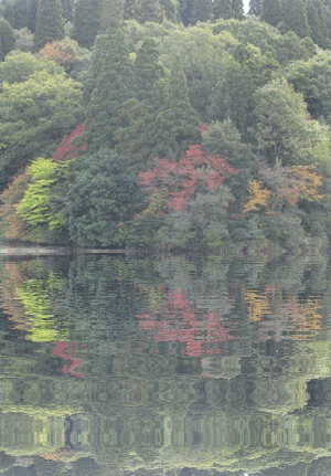 b0149071_1842715.gif