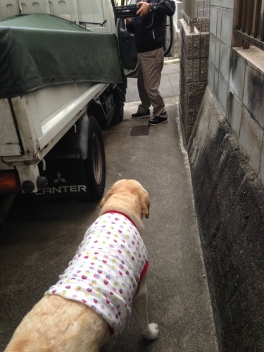 f0315081_10435319.jpeg