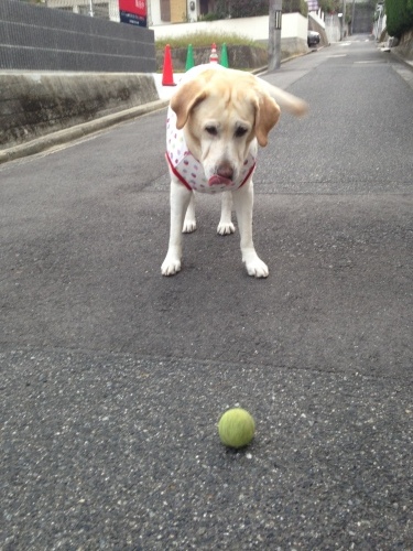 f0315081_10451641.jpeg