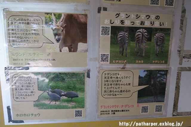 ２０１５年９月 天王寺動物園 その１ 葉月双子 親離れ ハープの徒然草