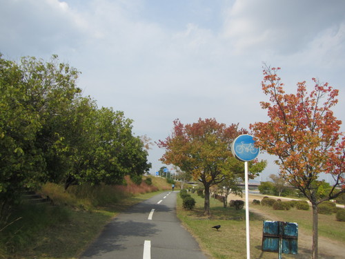 a0251786_15235335.jpg