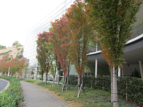 a0251786_15243067.jpg