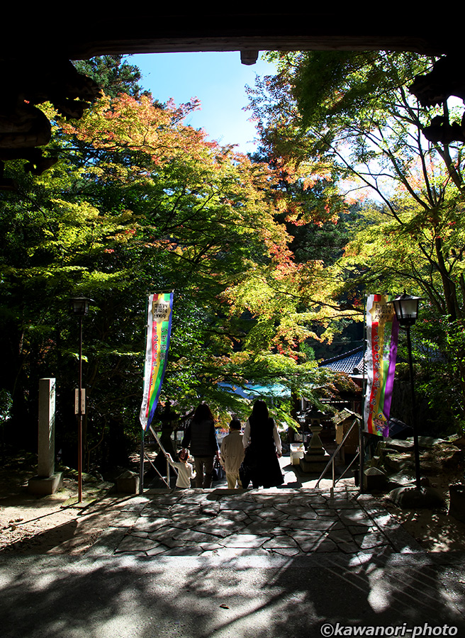 d0146295_04499.jpg