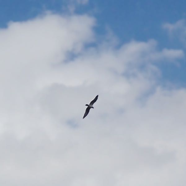 c0015099_85559.jpg