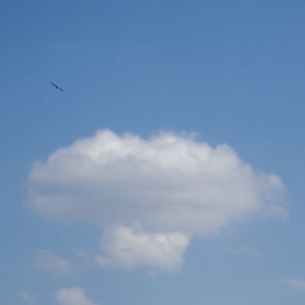 c0015099_93322.jpg