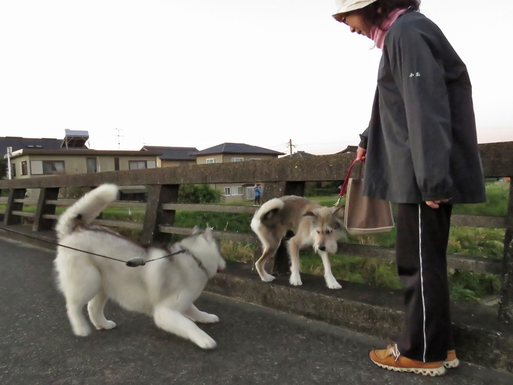 事件の現場_c0049299_22354256.jpg
