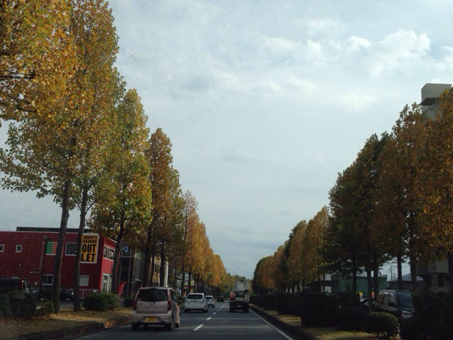 f0162908_21094334.jpg