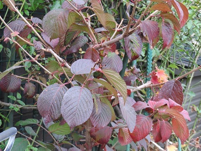 f0325309_15471200.jpg