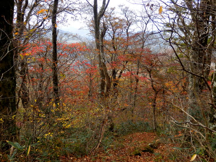 f0219710_79177.jpg