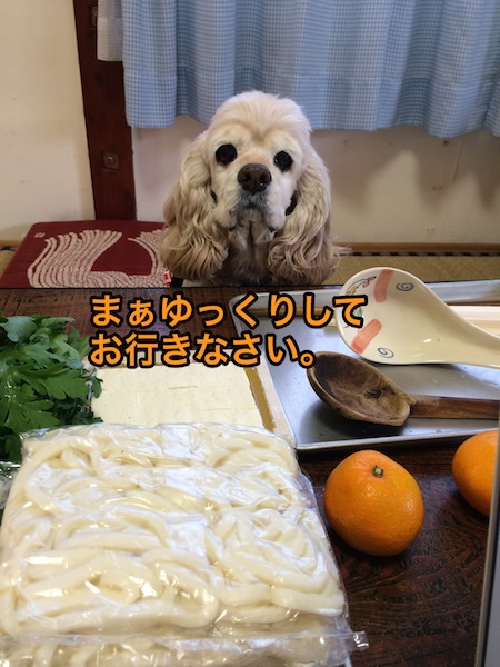 ハロウィン2015_b0067012_16263597.jpg