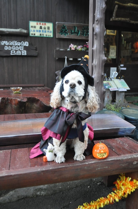 ハロウィン2015_b0067012_1715552.jpg