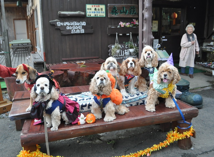 ハロウィン2015_b0067012_174459.jpg