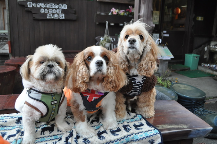 ハロウィン2015_b0067012_1751952.jpg