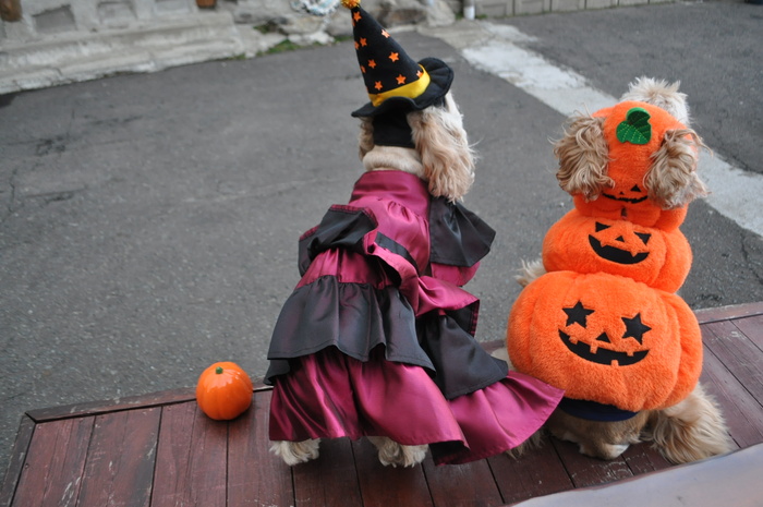 ハロウィン2015_b0067012_1764091.jpg