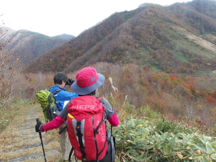 烏ヶ山（からずがせん）～象山～擬宝珠山（ぎぼうしやま）縦走_c0116915_23582732.jpg