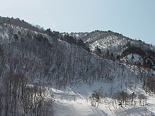 c0346119_23300435.jpg