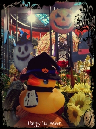 ＊Happy Halloween＊_d0277422_22595476.jpg