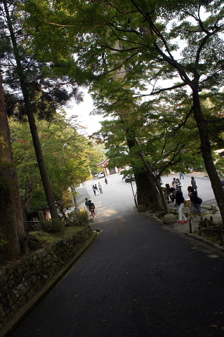 a0222229_10465657.jpg