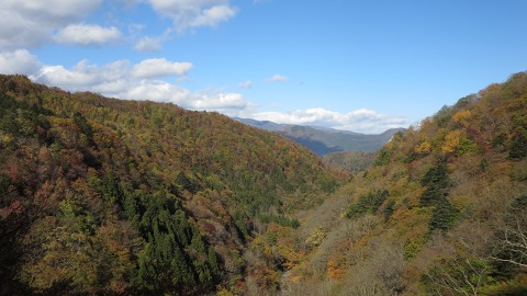 e0202031_12402556.jpg