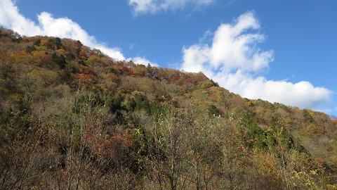 e0202031_12413340.jpg