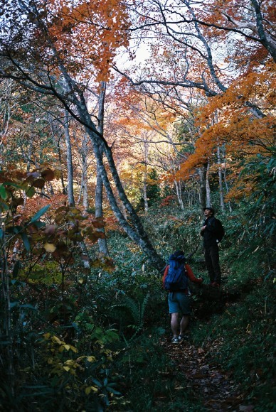 f0251840_16522788.jpg