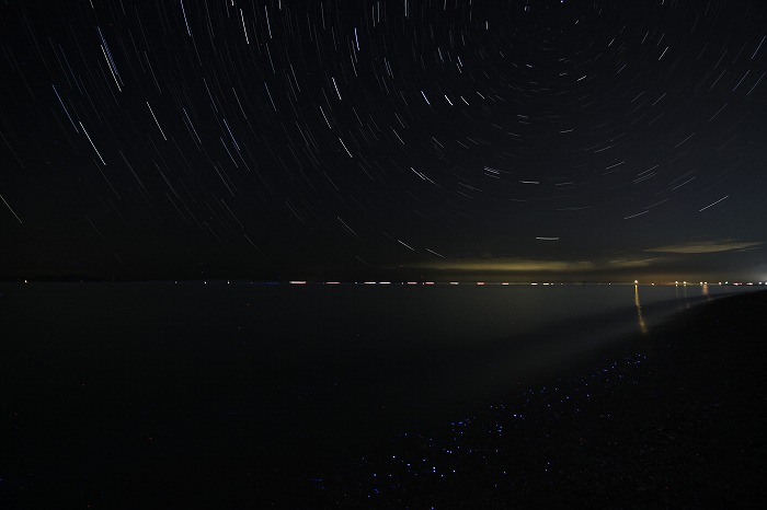 星屑打ち寄せる海岸･･･_a0122544_11165369.jpg
