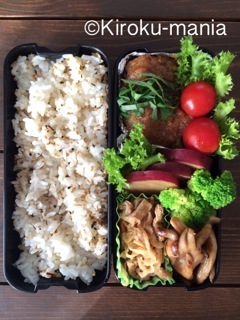 相方のため弁当　その１３_b0177345_19231146.jpeg