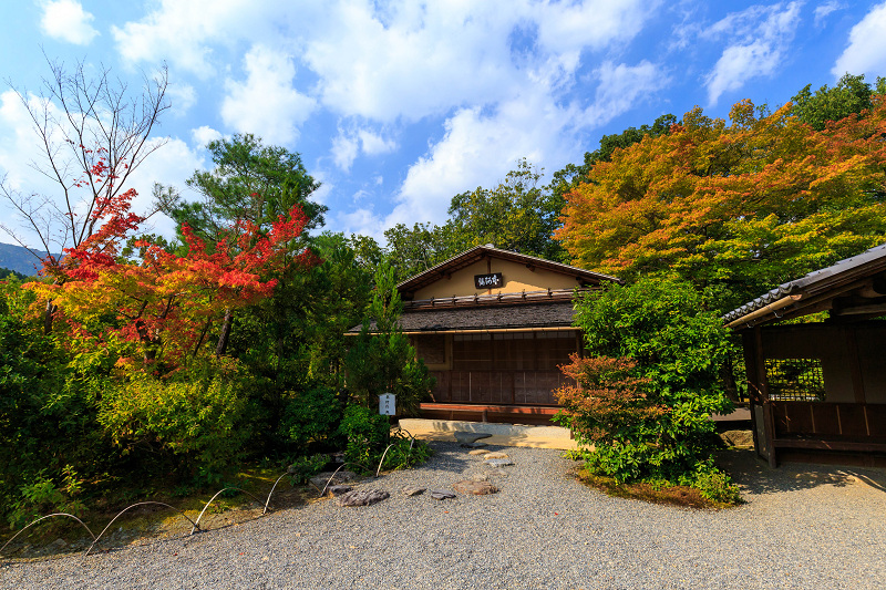 Prologue　京都の紅葉2015・染まる光悦寺_f0155048_23541475.jpg