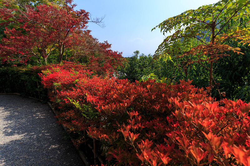 Prologue　京都の紅葉2015・染まる光悦寺_f0155048_23551942.jpg