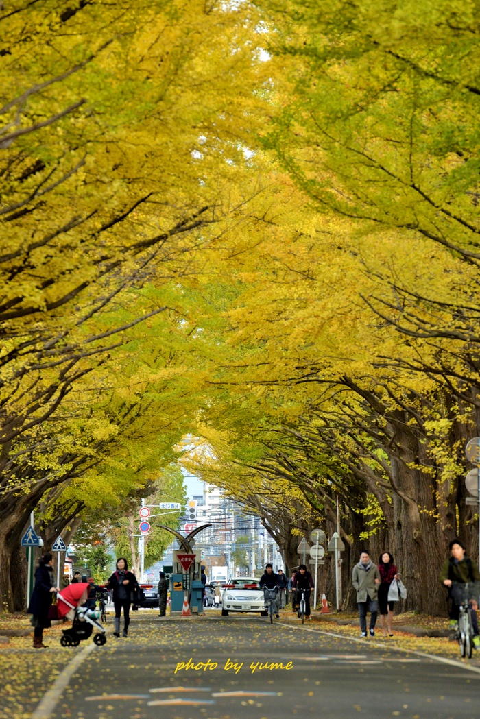 a0322950_80361.jpg