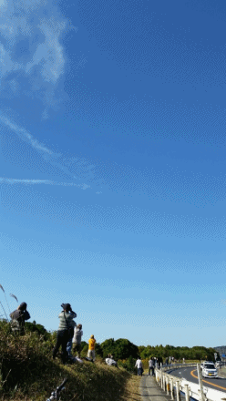 c0354758_01261707.gif