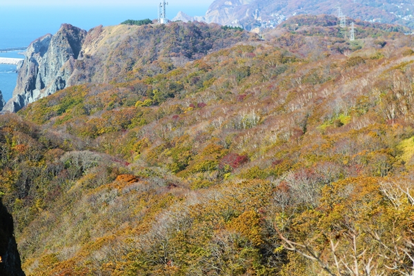 f0268259_19284243.jpg