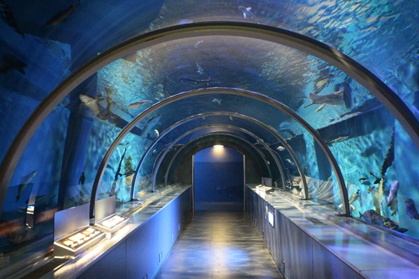 f0268259_19491189.jpg