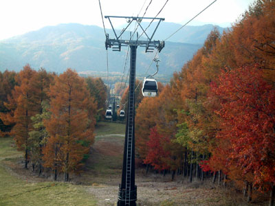 c0050264_2116239.jpg
