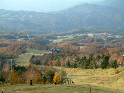 c0050264_21162883.jpg