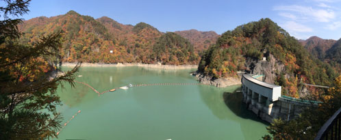 c0050264_21485934.jpg