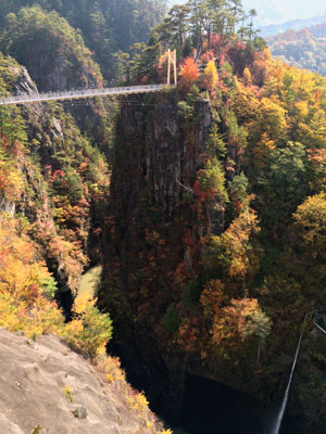 c0050264_21534079.jpg