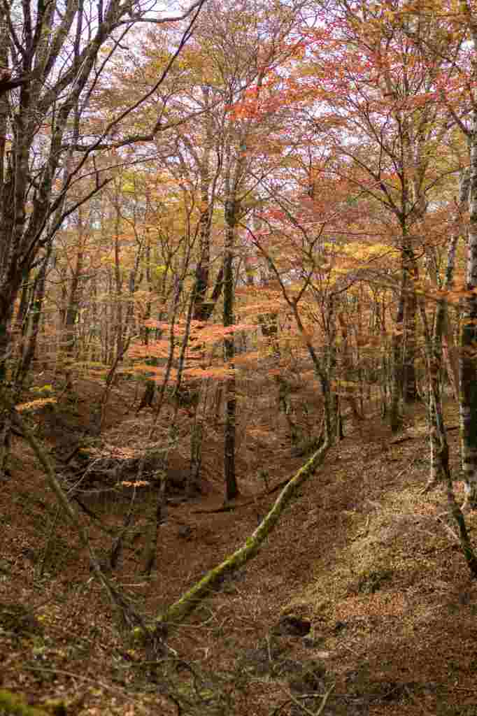 c0260264_17493668.jpg